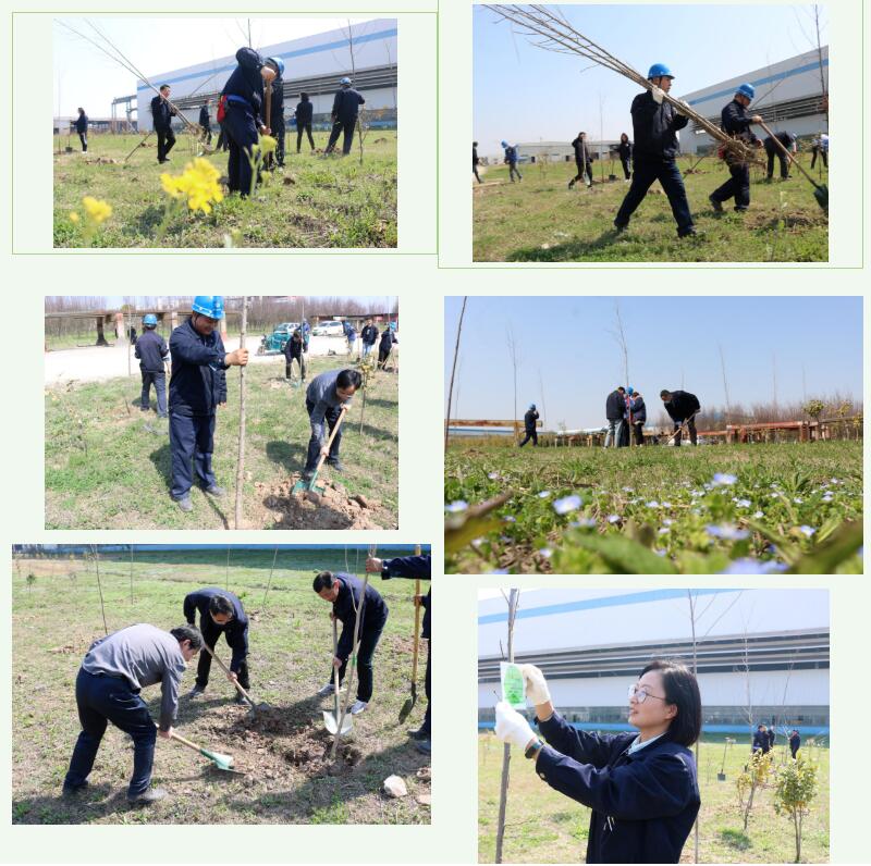 1647498651370598.jpg 44.jpg