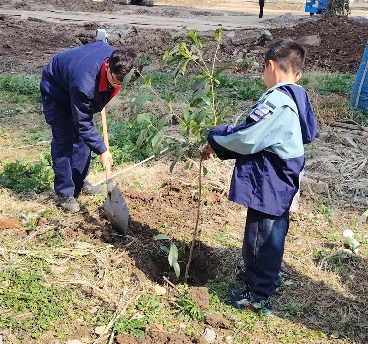 1741857458709451.png 圖片33.png